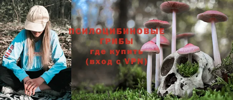 Псилоцибиновые грибы Magic Shrooms  сколько стоит  Бакал 